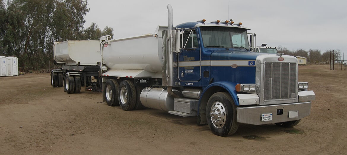 Nelson Auctions California Premier Auctioneers